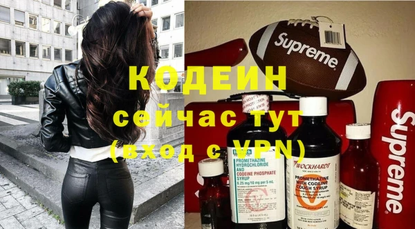 индика Беломорск