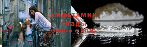 индика Беломорск