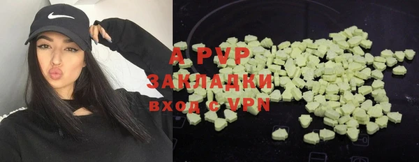 индика Беломорск