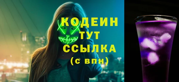 индика Беломорск