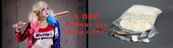 стафф Белокуриха