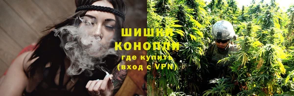 индика Беломорск