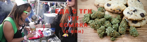 индика Беломорск