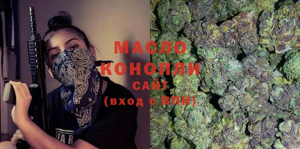 индика Беломорск