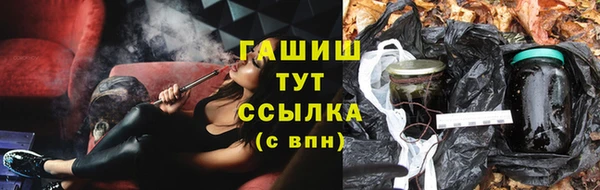 индика Беломорск
