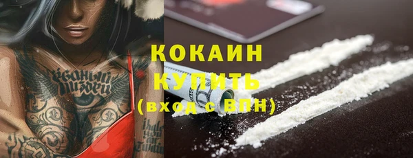 стафф Белокуриха