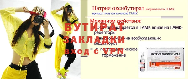 индика Беломорск